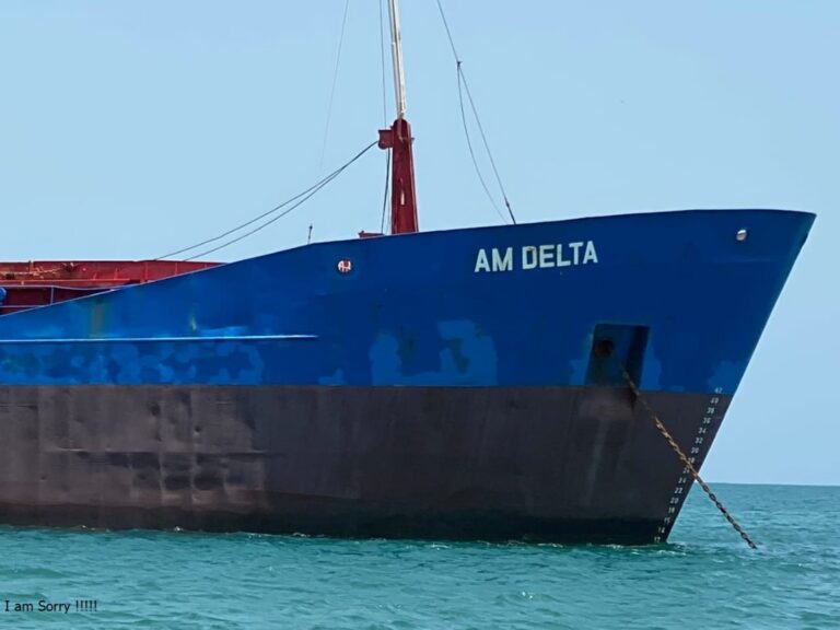 AM Delta
